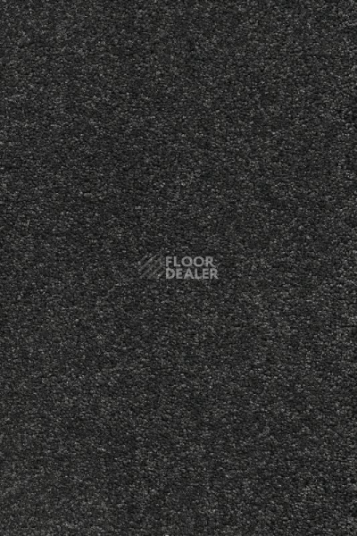 Ковролин AW Vivendi Punch 98 фото 1 | FLOORDEALER